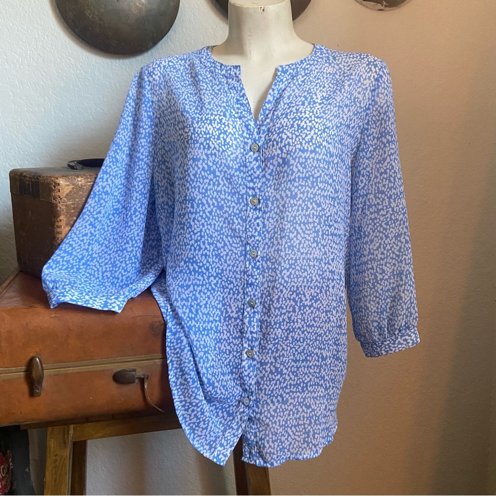 Blue Polka Dot Sheer Blouse